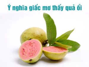 Mơ thấy quả ổi điềm báo lành hay dữ? Đánh con gì chính xác?