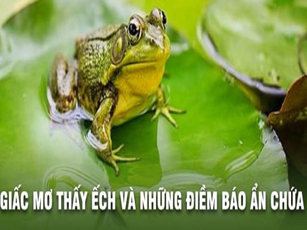 Giải mã chi tiết giấc mơ thấy con ếch